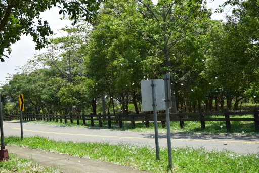 【台中市西屯區】東海大學巡禮-路思義教堂,乳品小棧,東海牧場 【台中市西屯區】東海大學巡禮-路思義教堂,乳品小棧,東海牧場