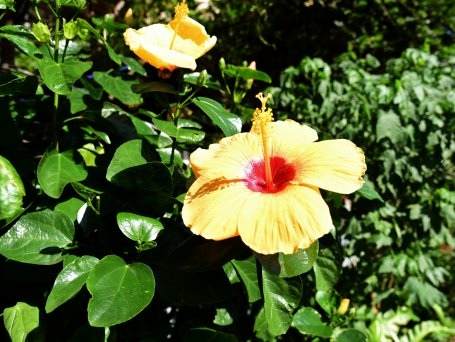 【新北市三芝區】芝柏藝術村,芝蘭公園海上觀景平台,根德水車園 【新北市三芝區】芝柏藝術村,芝蘭公園海上觀景平台,根德水車園