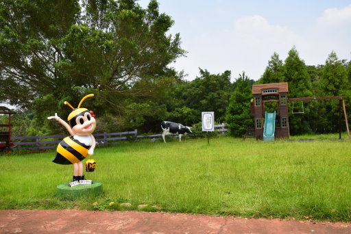 【桃園市大溪區】大溪花海農場賞花 (104年暑期之旅之8)