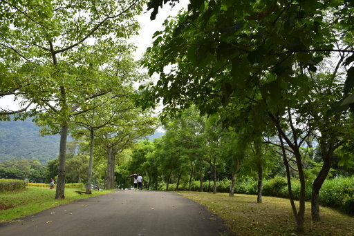 【桃園市大溪區】大溪花海農場賞花 (104年暑期之旅之8)