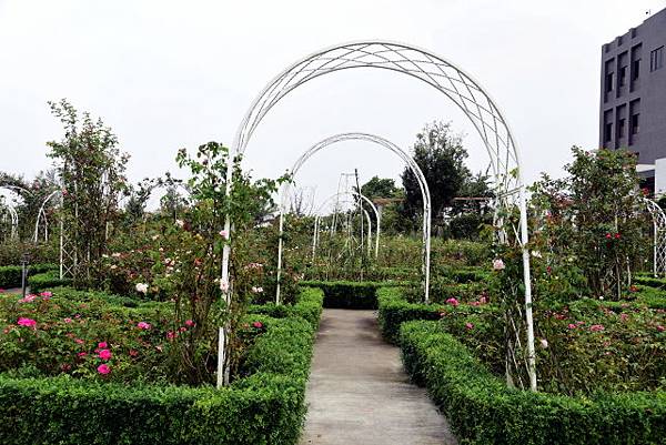 【台南市後壁區】雅聞湖濱療癒森林 (嘉義台南3日遊之5) 【台南市後壁區】雅聞湖濱療癒森林 (嘉義台南3日遊之5)