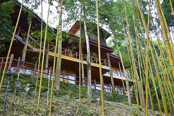 【桃園市復興區】達觀農場 (104年暑期之旅之5)