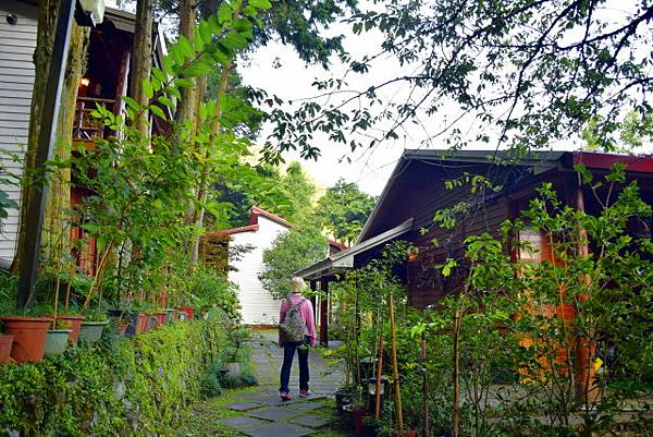 【桃園市復興區】達觀農場 (104年暑期之旅之5)