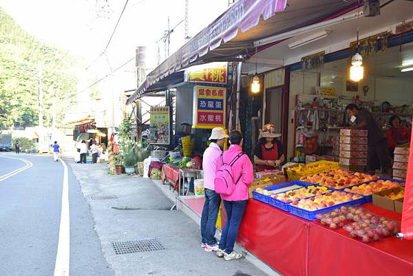【桃園市復興區】達觀農場 (104年暑期之旅之5)