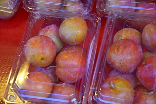 【桃園市復興區】達觀農場 (104年暑期之旅之5)