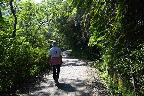 【桃園市復興區】桃園三民蝙蝠洞 (104年暑期之旅之1)