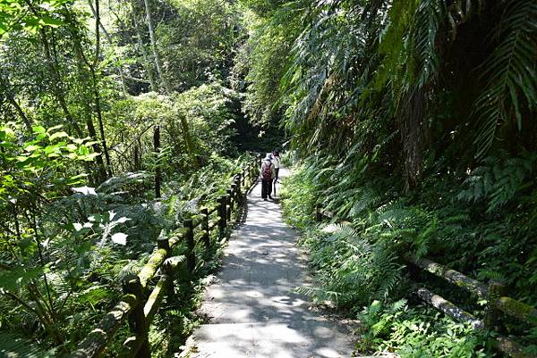 【桃園市復興區】桃園三民蝙蝠洞 (104年暑期之旅之1)