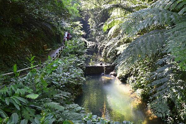 【桃園市復興區】桃園三民蝙蝠洞 (104年暑期之旅之1)
