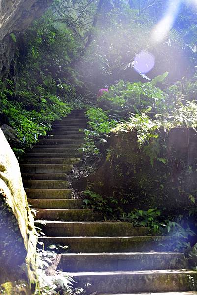 【桃園市復興區】桃園三民蝙蝠洞 (104年暑期之旅之1)