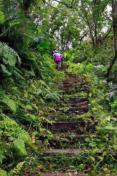 【宜蘭縣南澳村】朝陽國家步道 【宜蘭縣南澳村】朝陽國家步道