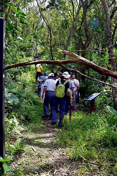 【宜蘭縣南澳村】朝陽國家步道 【宜蘭縣南澳村】朝陽國家步道
