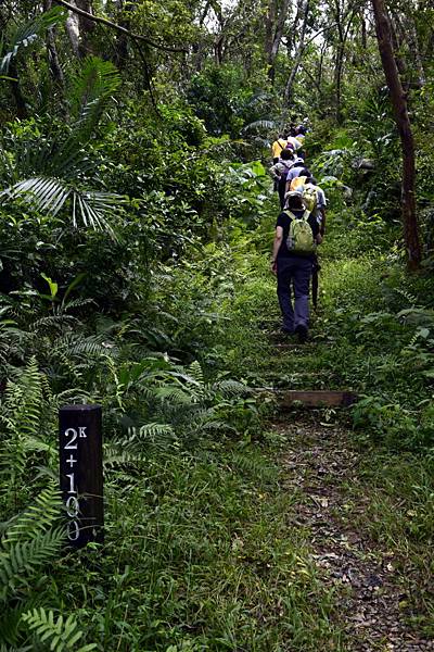 【宜蘭縣南澳村】朝陽國家步道 【宜蘭縣南澳村】朝陽國家步道