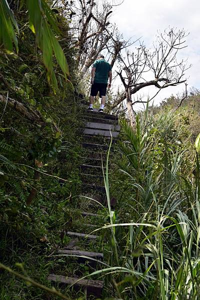 【宜蘭縣南澳村】朝陽國家步道 【宜蘭縣南澳村】朝陽國家步道