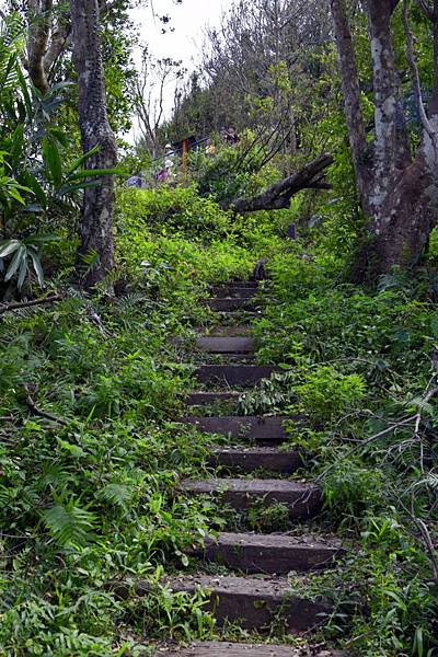 【宜蘭縣南澳村】朝陽國家步道 【宜蘭縣南澳村】朝陽國家步道