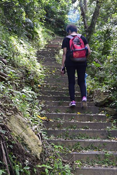 【宜蘭縣南澳村】朝陽國家步道 【宜蘭縣南澳村】朝陽國家步道