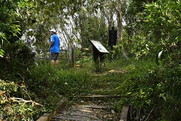 【宜蘭縣南澳村】朝陽國家步道 【宜蘭縣南澳村】朝陽國家步道