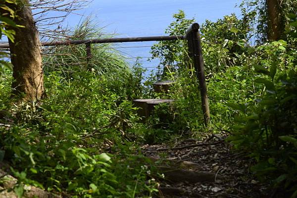 【宜蘭縣南澳村】朝陽國家步道 【宜蘭縣南澳村】朝陽國家步道