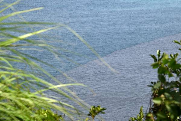 【宜蘭縣南澳村】朝陽國家步道 【宜蘭縣南澳村】朝陽國家步道