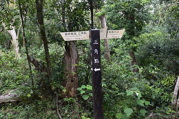 【宜蘭縣南澳村】朝陽國家步道 【宜蘭縣南澳村】朝陽國家步道