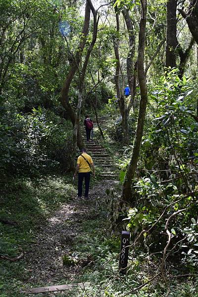 【宜蘭縣南澳村】朝陽國家步道 【宜蘭縣南澳村】朝陽國家步道