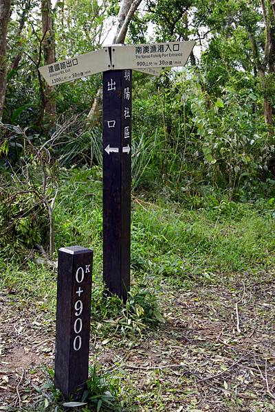 【宜蘭縣南澳村】朝陽國家步道 【宜蘭縣南澳村】朝陽國家步道