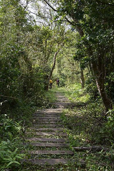 【宜蘭縣南澳村】朝陽國家步道 【宜蘭縣南澳村】朝陽國家步道