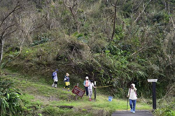 【宜蘭縣南澳村】朝陽國家步道 【宜蘭縣南澳村】朝陽國家步道