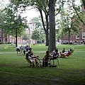 Harvard校園