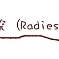 微晶瓷 (Radiesse)