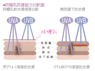 防曬乳隔離霜美白美白針3