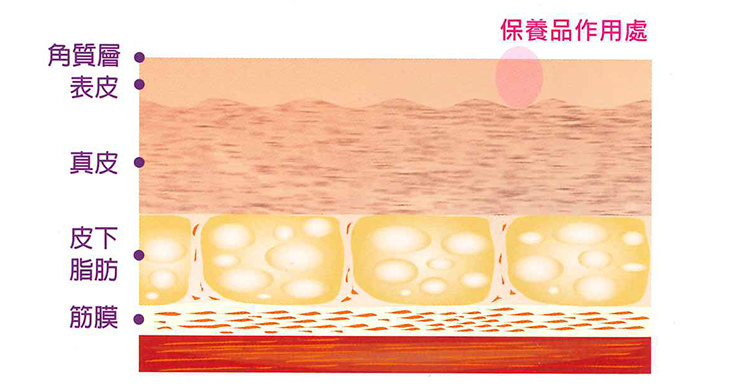 醫學美容類微整保養品童顏針3D聚左旋乳舒顏萃酸液態拉皮少女針依戀詩洢蓮絲肉毒桿菌玻尿酸晶亮瓷3 醫學美容類微整保養品童顏針3D聚左旋乳舒顏萃酸液態拉皮少女針依戀詩洢蓮絲肉毒桿菌玻尿酸晶亮瓷3