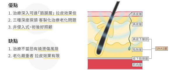 林上立醫生液態拉皮上立提Ellansé 洢蓮絲少女針PolycaprolactonePCL膠原增生劑易麗適依戀詩聚己內酯埋線拉皮3D聚左旋乳酸童顏針舒顏萃01.jpg