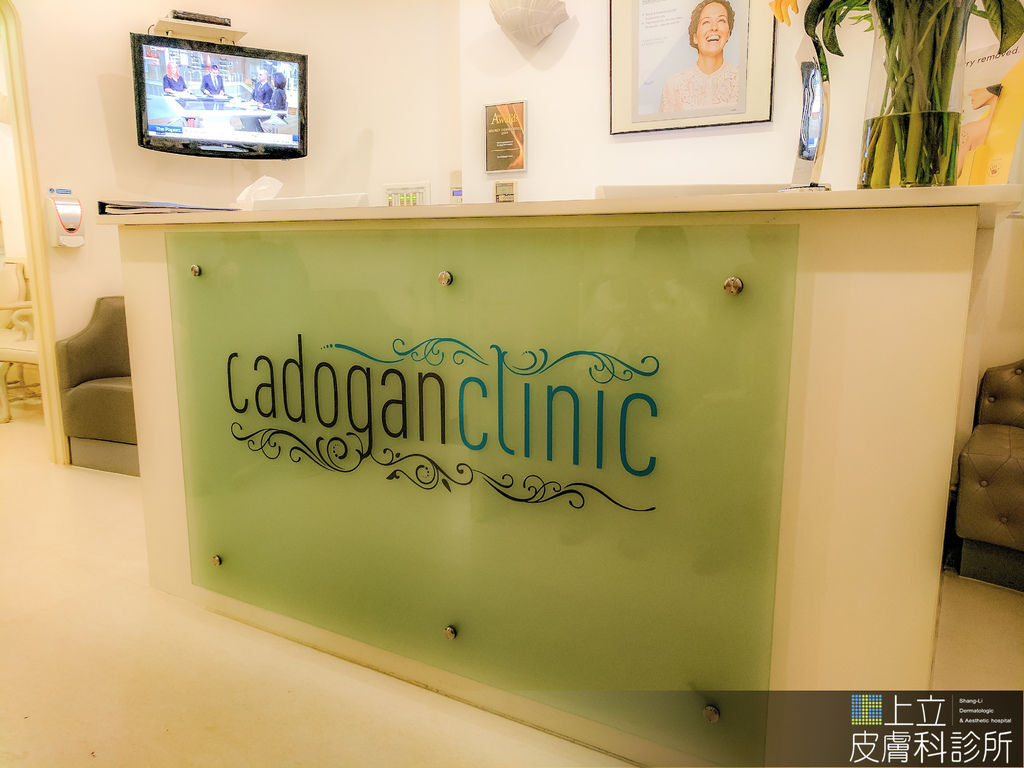 林上立醫師PicoSure755皮秒雷射蜂巢透鏡Ellanse洢蓮絲 林上立醫師PicoSure755皮秒雷射蜂巢透鏡Ellanse洢蓮絲