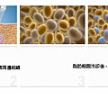 冷凍減脂MICOOL低溫輔助減脂馬甲線六塊肌抽脂冷凍溶脂8.png