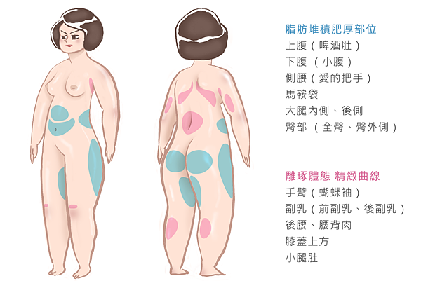 冷凍溶脂冷凍減脂非侵入式體雕抽脂副作用肚子瘦手臂大腿小腹屁股sculpsure1