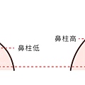 微晶瓷晶亮瓷洢蓮絲隆鼻洢蓮絲ellanse聚己內酯PCL依戀詩易麗適少女針奇蹟針洢蓮絲費用價格隆鼻上立醫師上立皮膚科診所09.jpg