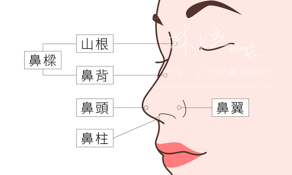 微晶瓷晶亮瓷洢蓮絲隆鼻洢蓮絲ellanse聚己內酯PCL依戀詩易麗適少女針奇蹟針洢蓮絲費用價格隆鼻上立醫師上立皮膚科診所08.jpg