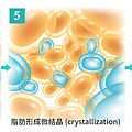 PicoSure755皮秒雷射蜂巢式聚焦陣列透鏡蜂巢透鏡痘疤凹疤飛梭雷射皮秒雷射價格價錢術後保養副作用除斑凹洞林上立上立皮膚科診所手術拉皮台北醫美推薦結痂06.png