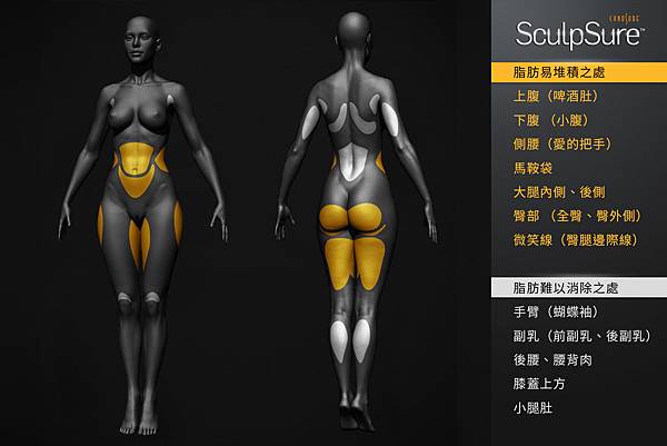 SculpSure體雕減肥減肥藥不好絲酷秀術後修復價格恢復期雷射體雕二極體冷凍溶脂減肥日記費用減肥食譜術後雷射溶脂局部平坦小腹塑身曲線雕塑林上立上立皮膚科診所06.jpg