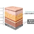 埋線拉皮費用臉部埋線價格效果埋線拉提副作用埋線拉提推薦臉部價格4D埋線拉皮埋線拉皮推薦埋線林上立醫師推薦醫師液態拉皮上立提立提線少女線立提少女線 (4).jpg