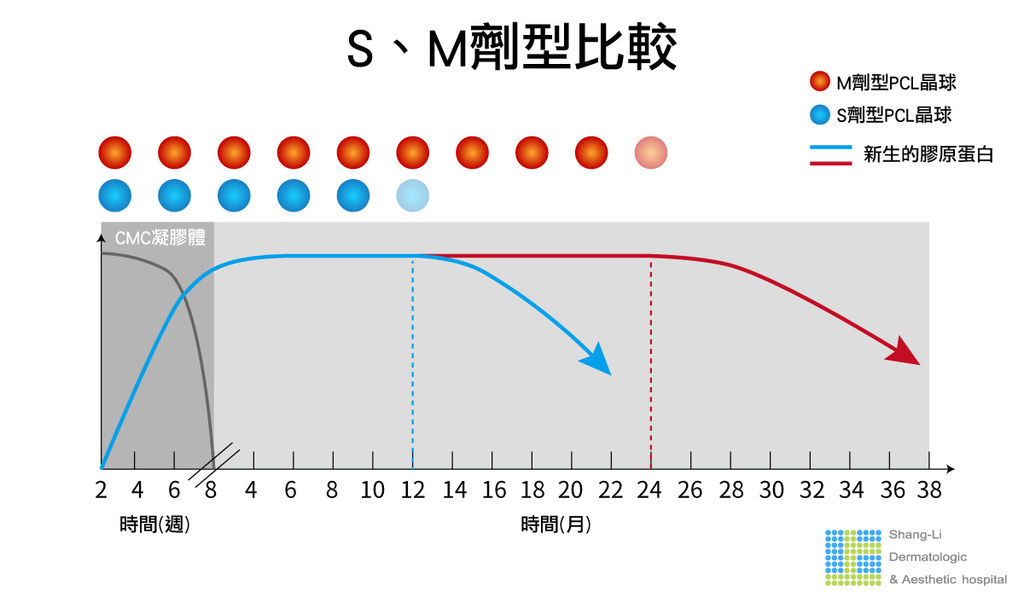 洢蓮絲ellanse聚己內酯PCL依戀詩易麗適少女針奇蹟針液態拉皮上立提二代童顏針膠原蛋白增生推薦醫師液態拉皮二代童顏針台北推薦診所上立皮膚科林上立醫師03.jpg