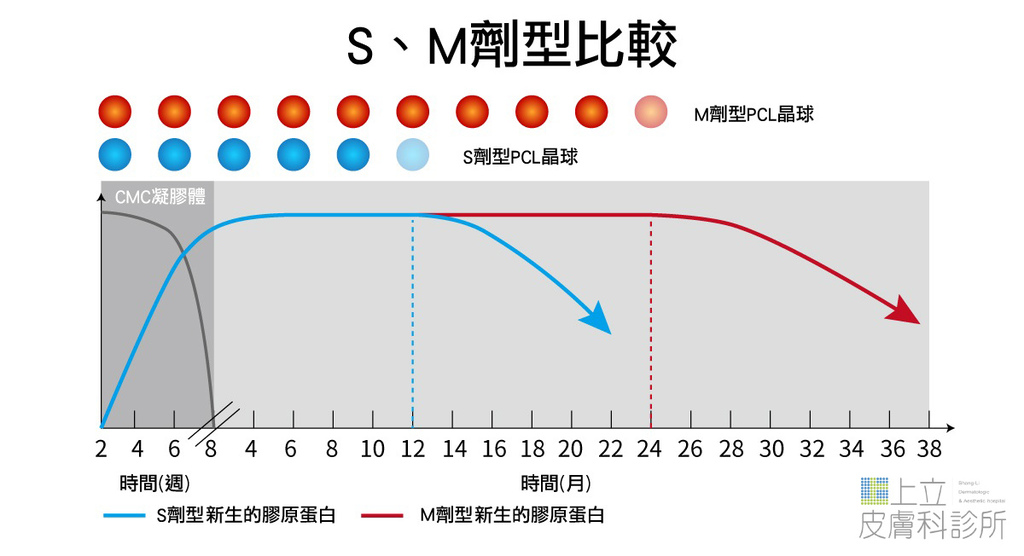 一樣都說是1年？但玻尿酸和洢蓮絲的差別在哪裡？04