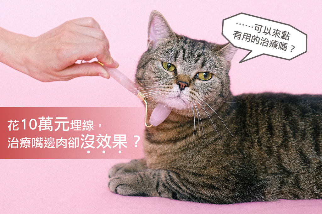 Spending-100,000-yuan-for-embedding-the meat-on-the-mouth-but-no-effect (1).jpg