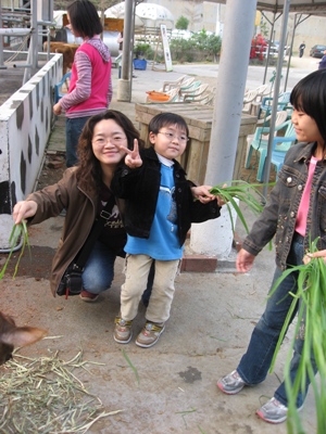 玉婷阿姨+品聖+恩琦在餵牛吃牧草.JPG