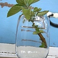 製作琉璃花瓶
