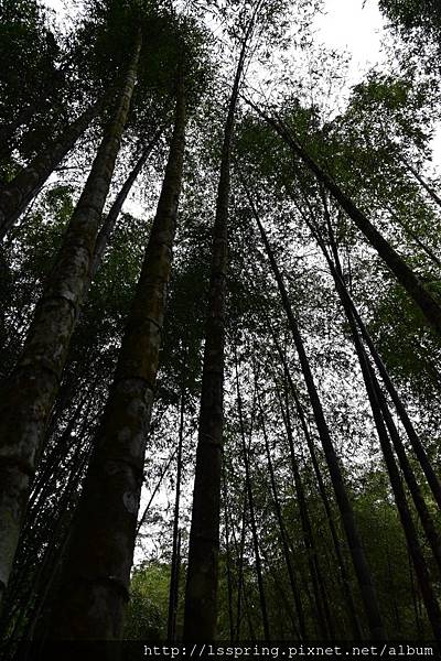 DSC_0170.JPG DSC_0170.JPG