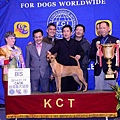 赤客2014.1.19kct台北畜犬展第二次參賽，拿下全犬種中組BIS大獎