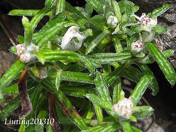 IMG_5376 IMG_5376