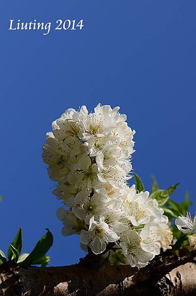 DSC_7842.JPG DSC_7842.JPG