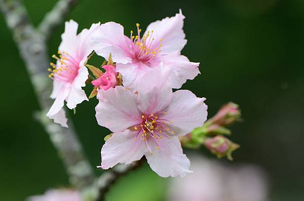 DSC_2221 DSC_2221